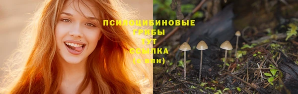 ECSTASY Лабытнанги