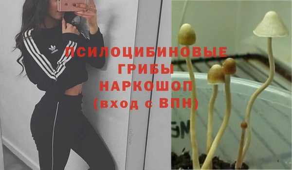 кокаин Лагань